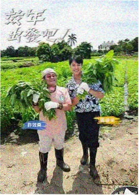 就爱影视新手友好榜综艺缩略图